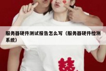 服务器硬件测试报告怎么写（服务器硬件检测系统）