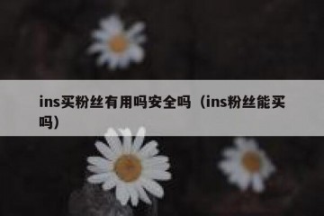 ins买粉丝有用吗安全吗（ins粉丝能买吗）