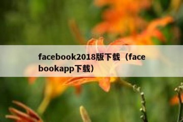 facebook2018版下载（facebookapp下载）
