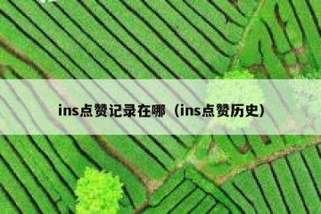 ins点赞记录在哪（ins点赞历史）
