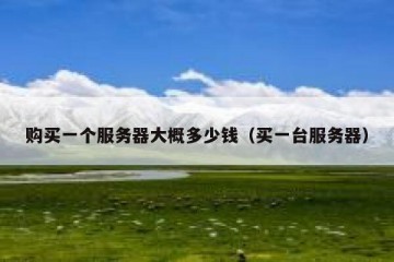 购买一个服务器大概多少钱（买一台服务器）
