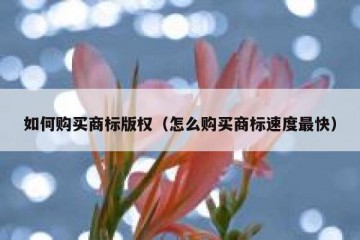 如何购买商标版权（怎么购买商标速度最快）