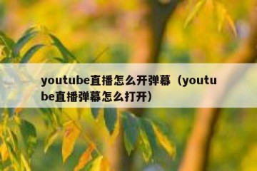 youtube直播怎么开弹幕（youtube直播弹幕怎么打开）