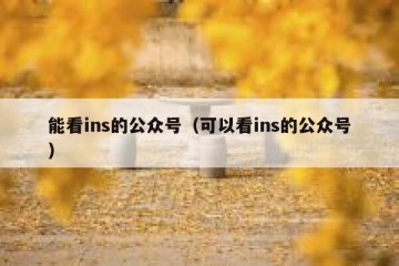 能看ins的公众号（可以看ins的公众号）