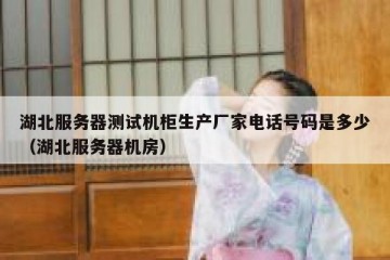 湖北服务器测试机柜生产厂家电话号码是多少（湖北服务器机房）