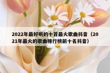 2022年最好听的十首最火歌曲抖音（2021年最火的歌曲排行榜前十名抖音）