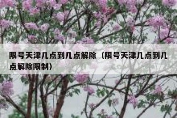 限号天津几点到几点解除（限号天津几点到几点解除限制）