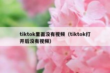 tiktok里面没有视频（tiktok打开后没有视频）