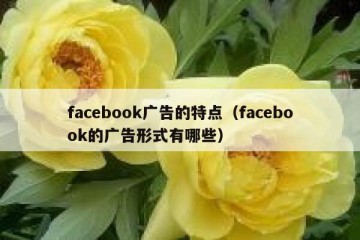 facebook广告的特点（facebook的广告形式有哪些）