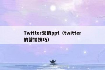 Twitter营销ppt（twitter的营销技巧）