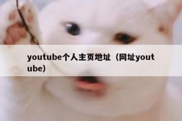 youtube个人主页地址（网址youtube）