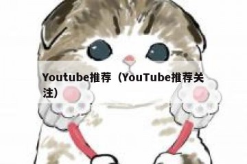 Youtube推荐（YouTube推荐关注）
