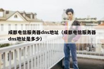成都电信服务器dns地址（成都电信服务器dns地址是多少）