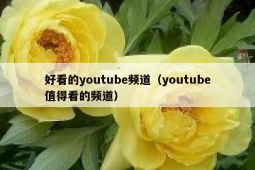 好看的youtube频道（youtube值得看的频道）