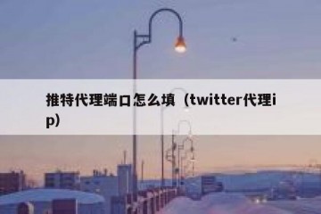 推特代理端口怎么填（twitter代理ip）