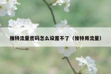 推特流量密码怎么设置不了（推特用流量）
