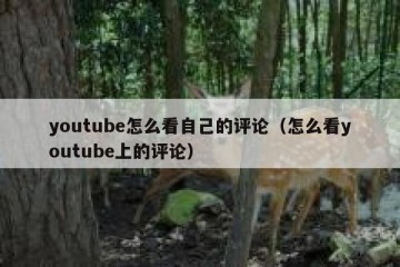 youtube怎么看自己的评论（怎么看youtube上的评论）