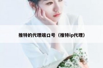 推特的代理端口号（推特ip代理）