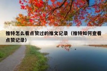 推特怎么看点赞过的推文记录（推特如何查看点赞记录）