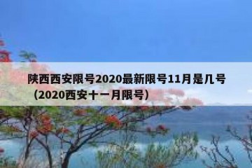 陕西西安限号2020最新限号11月是几号（2020西安十一月限号）