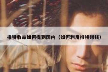推特收益如何提到国内（如何利用推特赚钱）