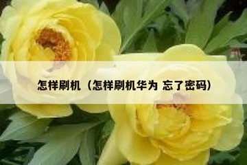 怎样刷机（怎样刷机华为 忘了密码）