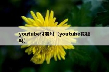 youtube付费吗（youtube花钱吗）