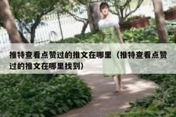 推特查看点赞过的推文在哪里（推特查看点赞过的推文在哪里找到）