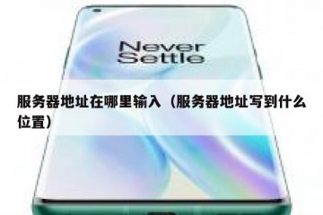 服务器地址在哪里输入（服务器地址写到什么位置）