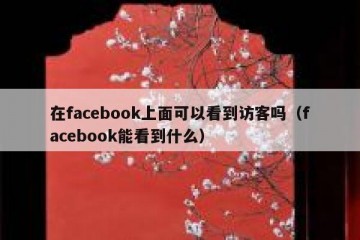 在facebook上面可以看到访客吗（facebook能看到什么）