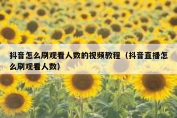 抖音怎么刷观看人数的视频教程（抖音直播怎么刷观看人数）