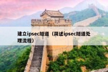 建立ipsec隧道（简述ipsec隧道处理流程）