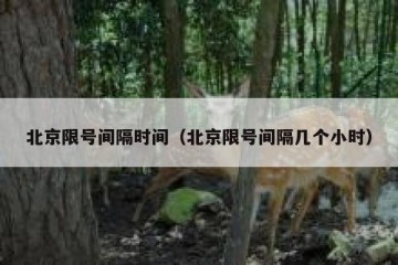 北京限号间隔时间（北京限号间隔几个小时）