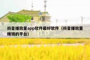 抖音播放量app软件最好软件（抖音播放量赚钱的平台）