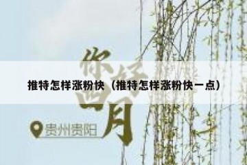 推特怎样涨粉快（推特怎样涨粉快一点）