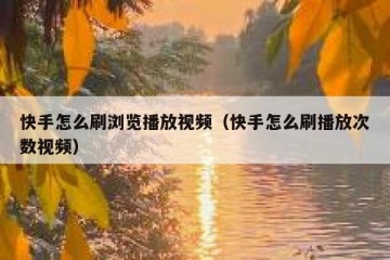 快手怎么刷浏览播放视频（快手怎么刷播放次数视频）