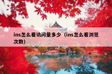 ins怎么看访问量多少（ins怎么看浏览次数）