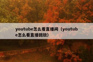 youtube怎么看直播间（youtube怎么看直播回放）