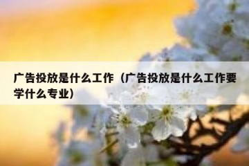 广告投放是什么工作（广告投放是什么工作要学什么专业）