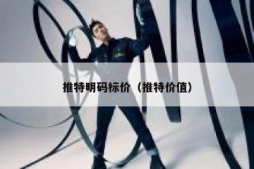 推特明码标价（推特价值）