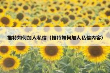 推特如何加人私信（推特如何加人私信内容）