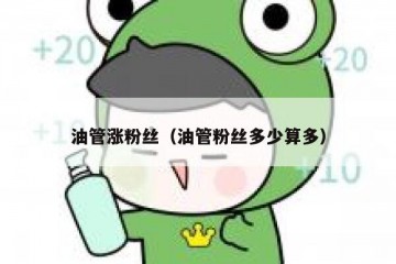 油管涨粉丝（油管粉丝多少算多）