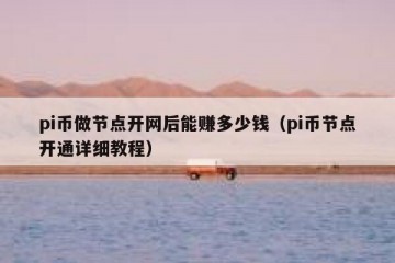 pi币做节点开网后能赚多少钱（pi币节点开通详细教程）