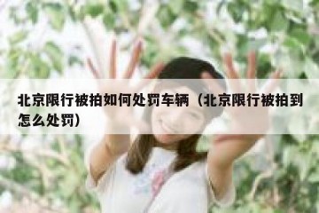 北京限行被拍如何处罚车辆（北京限行被拍到怎么处罚）