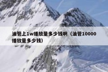 油管上1w播放量多少钱啊（油管10000播放量多少钱）