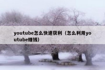 youtube怎么快速获利（怎么利用youtube赚钱）