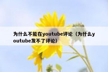 为什么不能在youtube评论（为什么youtube发不了评论）