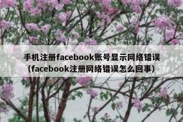 手机注册facebook账号显示网络错误(facebook注册网络错误怎么回事) 第1张 手机注册facebook账号显示网络错误(facebook注册网络错误怎么回事) 第1张