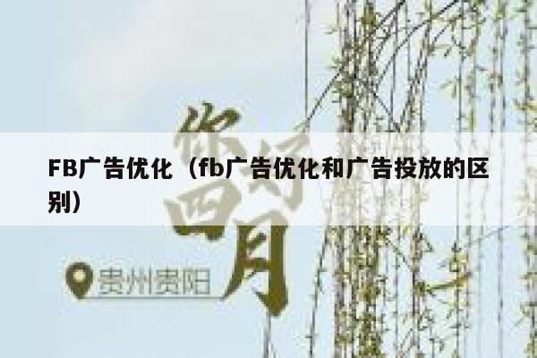 FB广告优化（fb广告优化和广告投放的区别） 第1张