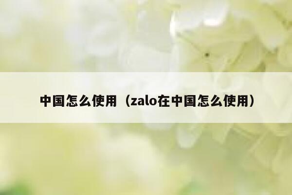 中国怎么使用（zalo在中国怎么使用） 第1张